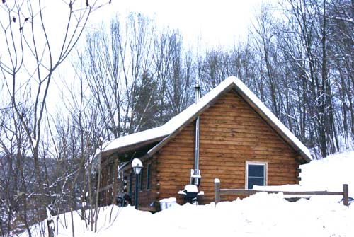 winter cabin pic.jpg (40704 bytes)